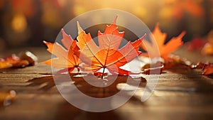 autumn leaves background, autumn background of maple leaves focusing on sunlight,