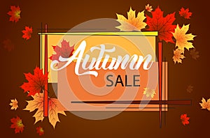 Autumn leaves background. Autumnal border with isolated yellow maple.Autumn vector background banner.