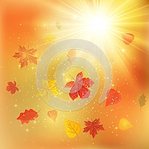 Autumn leaves background. Autumnal border with yellow maple, oak and rowan foliage. Fall theme. banner. seasons template