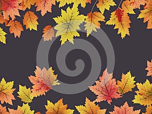 Autumn leaves background colorful