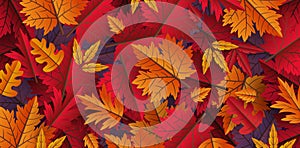 Autumn leaves background design vector illustration