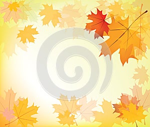 Autumn leaves background frame