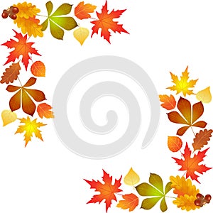 Autumn leaves, background frame, illustration, vector,
