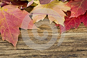 Autumn leaves background on old wood floor