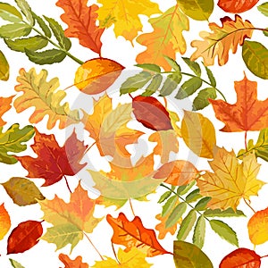 Autumn Leaves Background - Seamless Pattern
