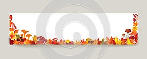 Autumn leaves background. Season floral horizontal wallpaper. Fall leaf nature banner sale design