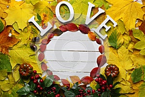 Autumn leaves background shape round