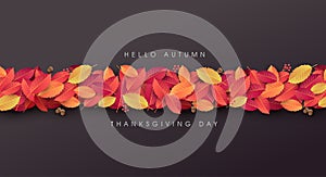 Autumn leaves background.