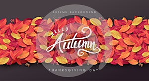 Autumn leaves background.