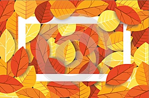 Autumn leaves background vector illustration EPS10