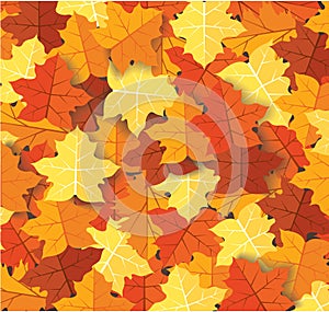 Autumn leaves background vector illustration EPS10