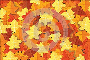 Autumn leaves background vector illustration EPS10