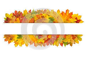 Autumn leaves banner Fall background