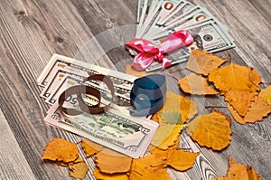 Autumn leaves with a beautiful dollar gift.