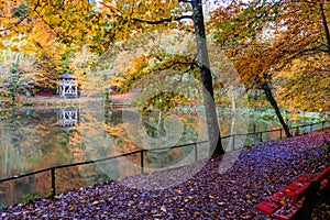 Nice side view of the lake with the reflectiong trees. Autumn colors. photo