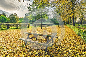 Autumn leaves on a bench in a park