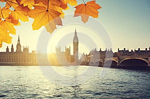 Autumn leaves and Big Ben, London