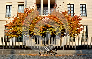 Autumn leaves with bike, in Berlin, Germany