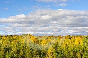 Autumn leaves with blue sky