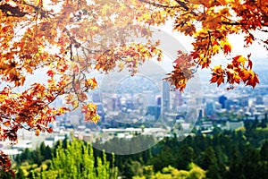 Autumn leaves and blurred Panorama of Portland