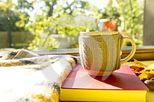 Autumn leaves, book, chestnut, scarf and cup of hot chocolate. F