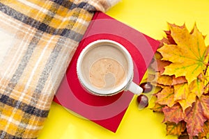 Autumn leaves, book, chestnut, scarf and cup of hot chocolate. Fall season, leisure time and coffee break concept