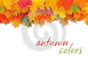 Autumn leaves border