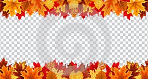 Autumn leaves border frame with space text on transparent background. Can be used for thanksgiving, harvest holida