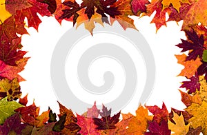 Autumn leaves border on white background