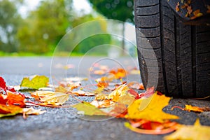 Autumn leaves with car wheel