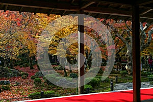 Autumn leaves change color at Enkoji Temple, Kyoto. The red leaves are very beautiful.