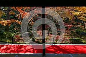 Autumn leaves change color at Enkoji Temple, Kyoto. The red leaves are very beautiful.