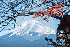 Autumn leaves change color in Kawaguchiko, Japan.