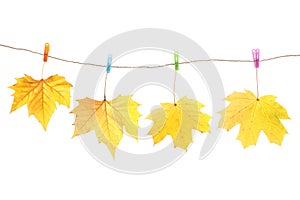 Autumn leaves and clothes pegs