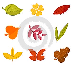 Autumn leaves collection