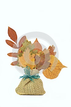 Autumn Leaves composition