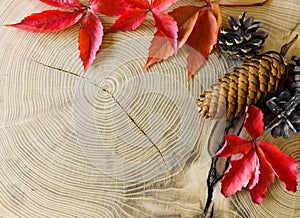 Autumn leaves and cones on wooden table