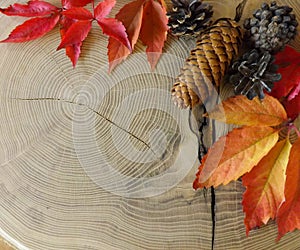 Autumn leaves and cones on wooden table