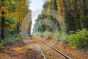 Autumn leaves cover train tracks in New England