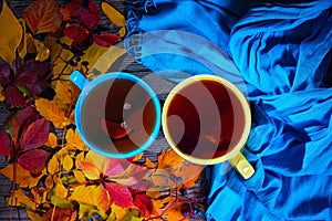 Autumn leaves, cups of tea and blue scarf, top view