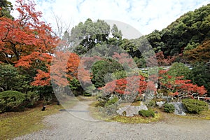 Autumn leaves in Daigoji Temple, Kyoto, Japan