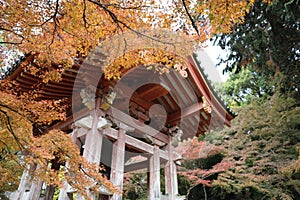 Autumn leaves in Daigoji Temple, Kyoto, Japan