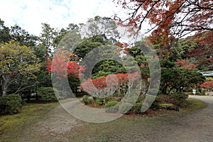 Autumn leaves in Daigoji Temple, Kyoto, Japan