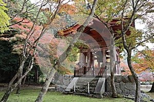 Autumn leaves in Daigoji Temple, Kyoto, Japan