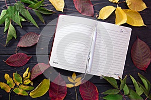 Autumn leaves on a dark wooden background. Diary page with pen.