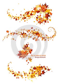 Autumn leaves design elements