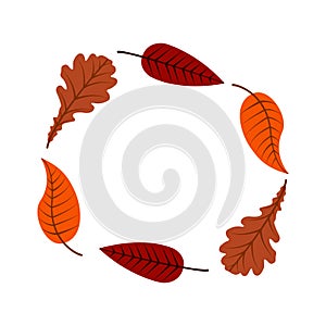 Autumn leaves of different trees in the form of a circle colorful illustration