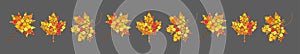 Autumn leaves divider. Abstract border with autumnal maple leaf. Line with fall colors decoration. Seasonal foliage symbols made