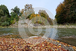 Autumn leaves drift in the river