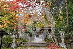 Autumn leaves, Fall foliage and hakkodo at Saisho-kongo-in Temple.